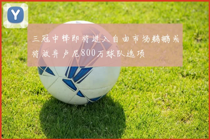 三冠中锋即将进入自由市场鹈鹕或将放弃卢尼800万球队选项
